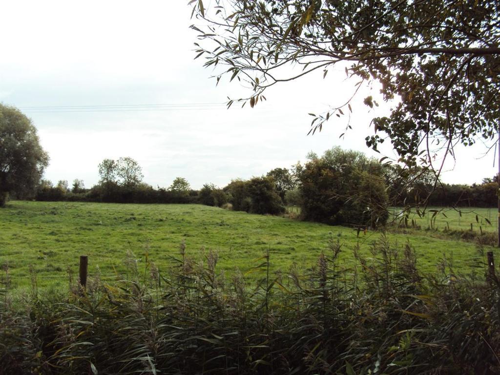 Withy Cottages Langport Buitenkant foto